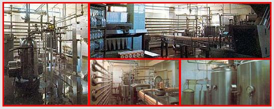 Karoun Cheese Plant Karoun Cheese Plant